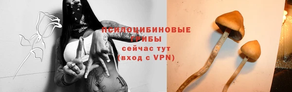 прущий лед Алзамай