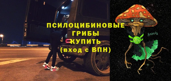 прущий лед Алзамай