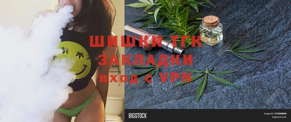прущий лед Алзамай