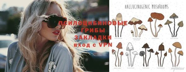 прущие крисы Новодвинск