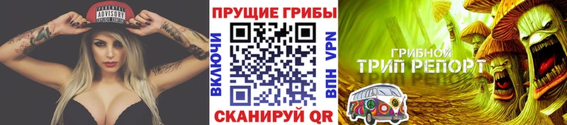 Галлюциногенные грибы прущие грибы  Находка 